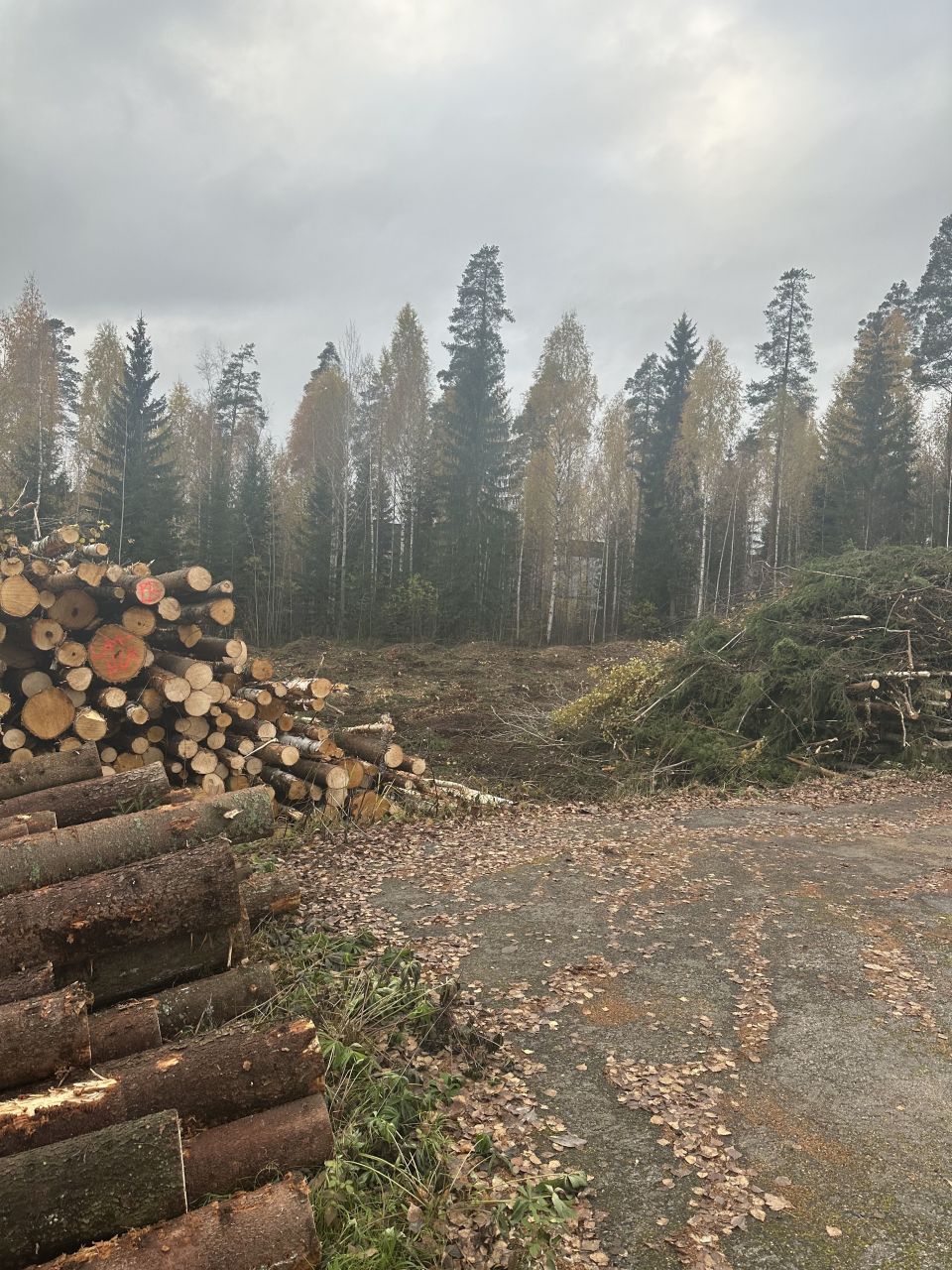 Инвестиционный проект в Ярвенпяа, Финляндия, 2 600 м² - фото 8