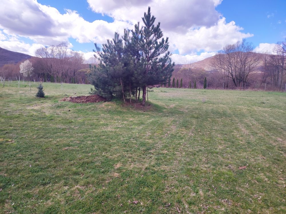 Земля в Никшиче, Черногория, 6 398 м² - фото 3