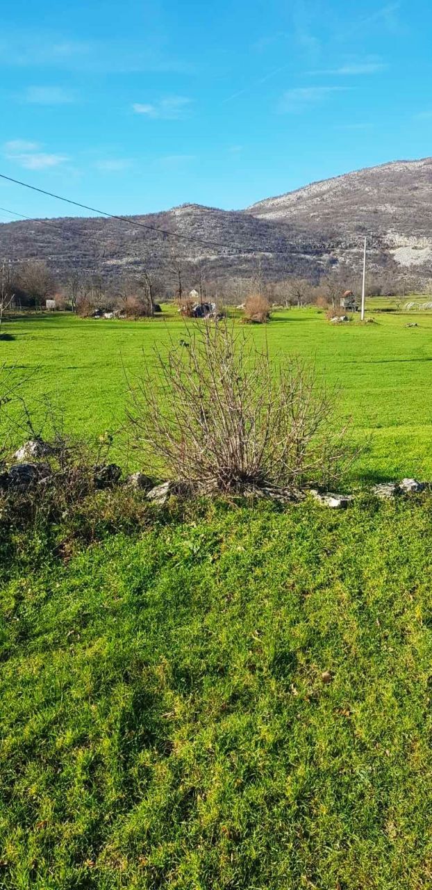 Земля в Никшиче, Черногория, 3.1 Га - фото 5