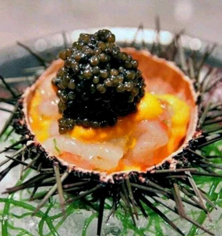 Кафе, ресторан в Форте деи Марми, Италия, 600 м² - фото 13