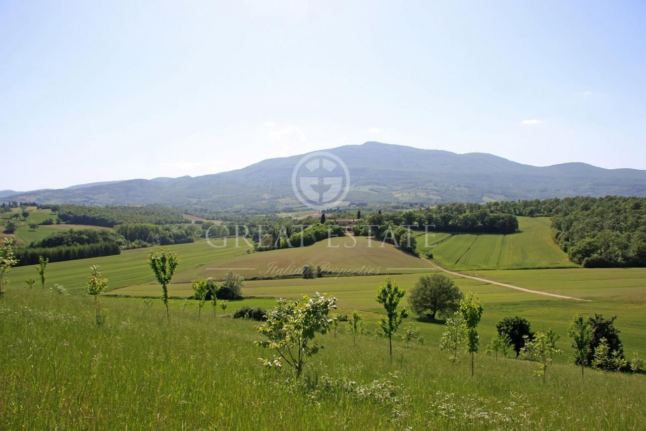 Дом в Читта-делла-Пьеве, Италия, 356 м² - фото 2