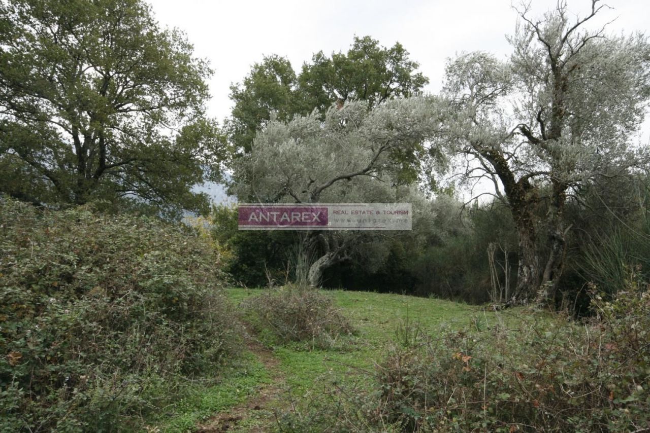 Земля в Тивате, Черногория, 30 000 м² - фото 2