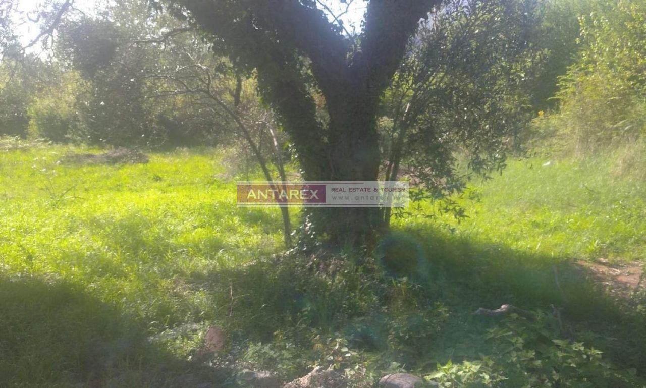 Земля в Булярице, Черногория, 518 м² - фото 2