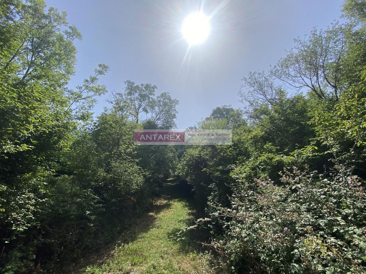 Земля в Херцег-Нови, Черногория, 996 м² - фото 2