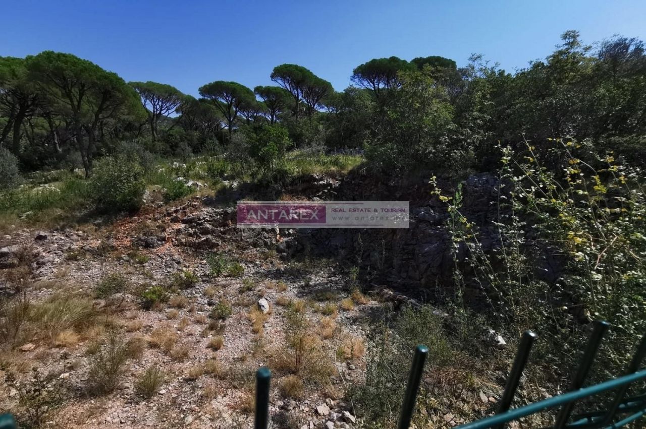 Земля в Мириште, Черногория, 550 м² - фото 2