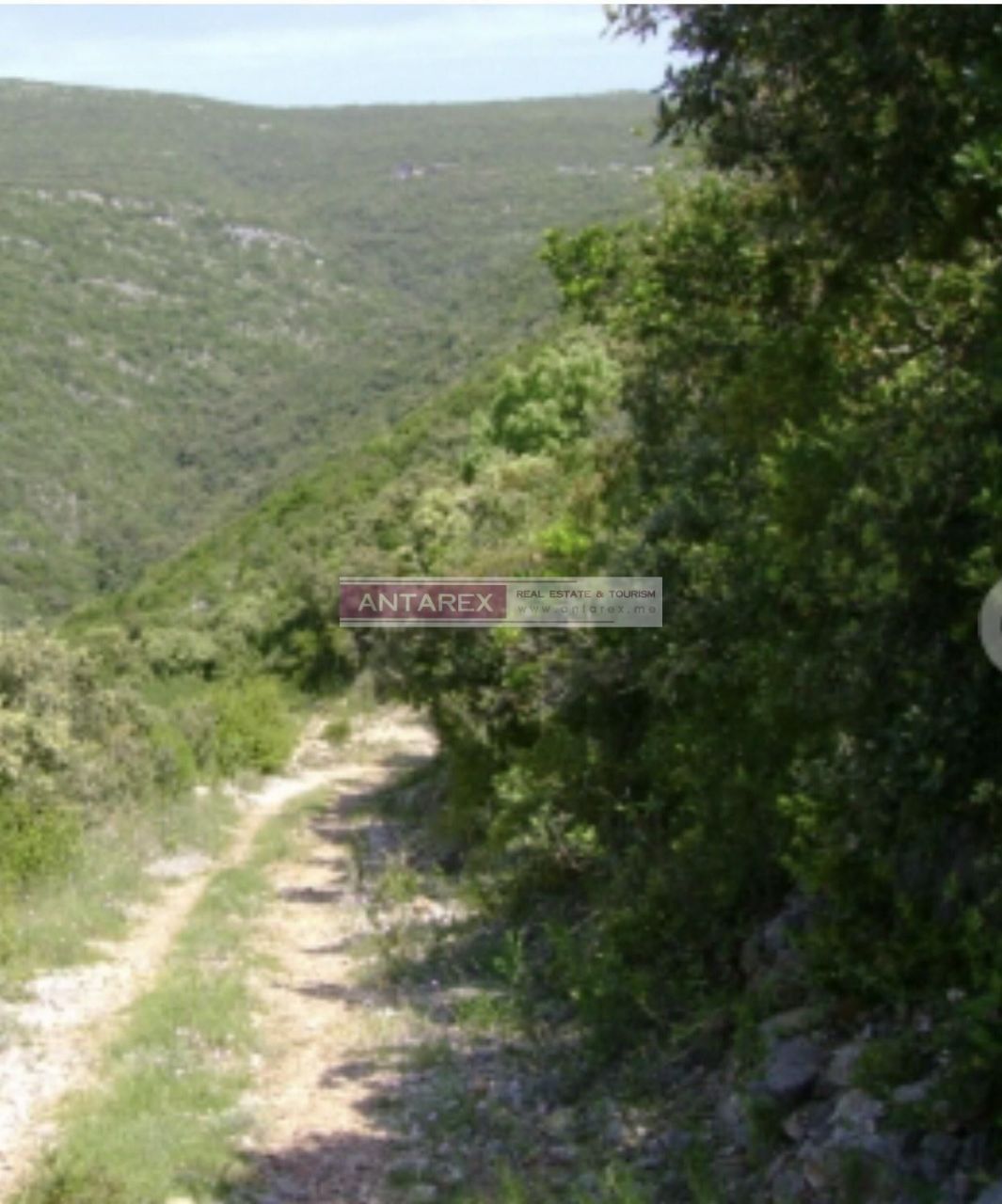 Земля на полуострове Луштица, Черногория, 5 774 м² - фото 3