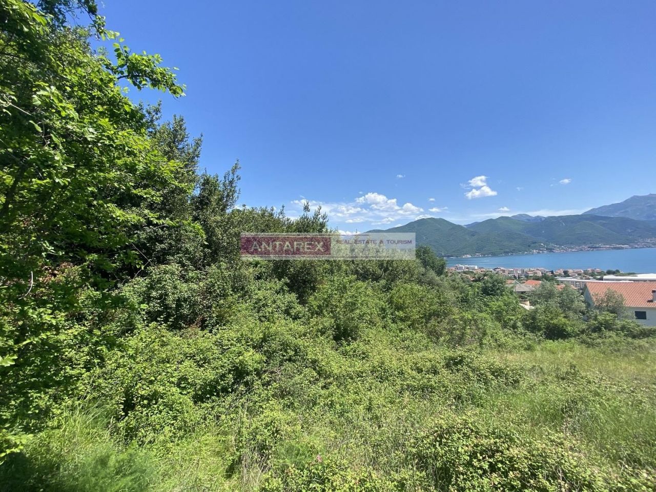 Земля в Биеле, Черногория, 5 127 м² - фото 3