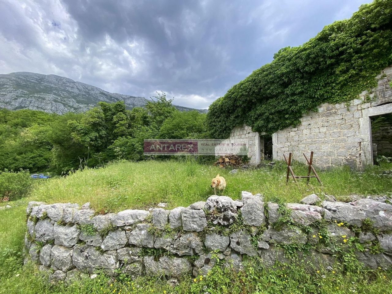 Вилла в Херцег-Нови, Черногория, 92 м² - фото 3