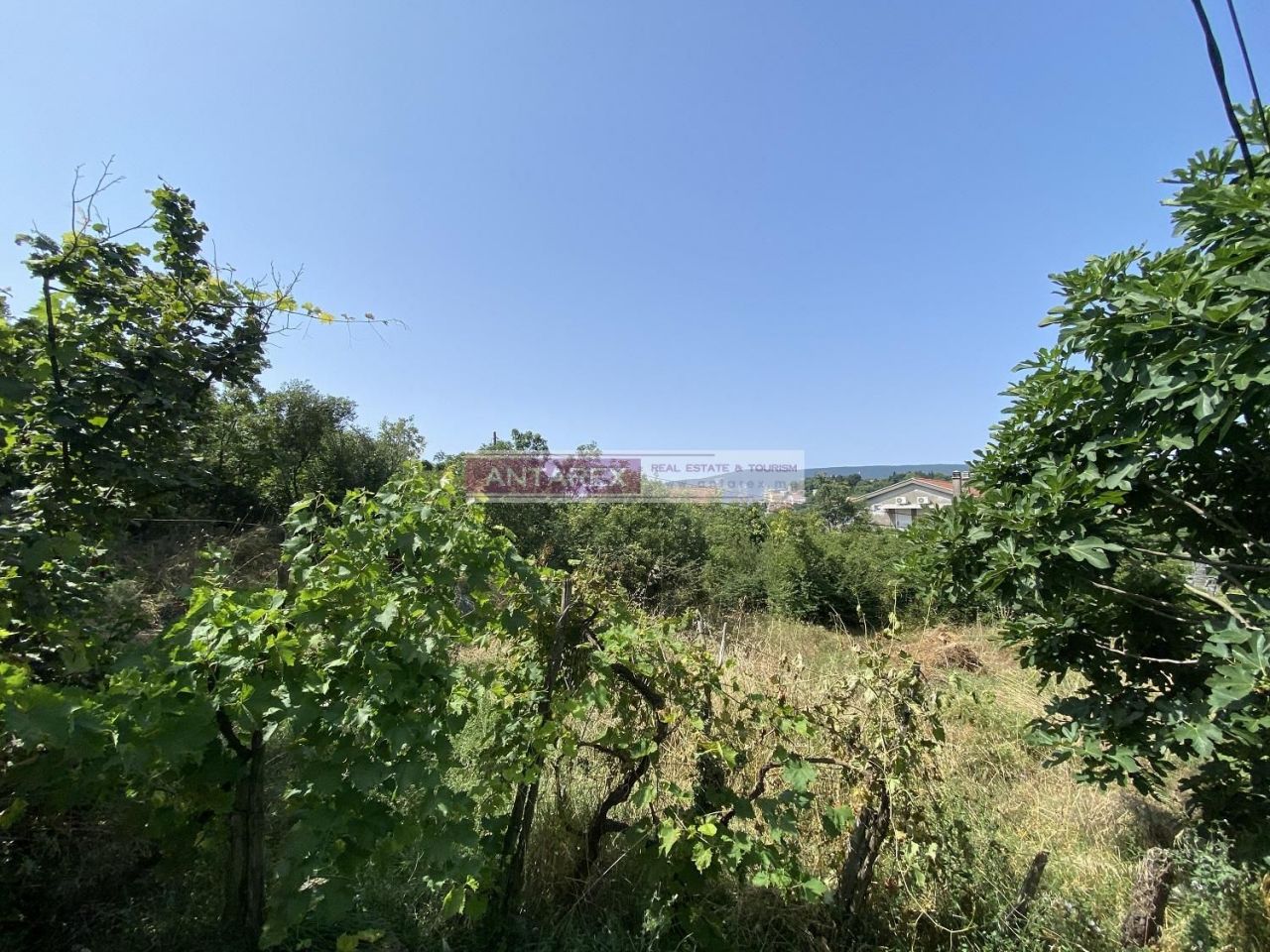 Земля в Херцег-Нови, Черногория, 3 606 м² - фото 3