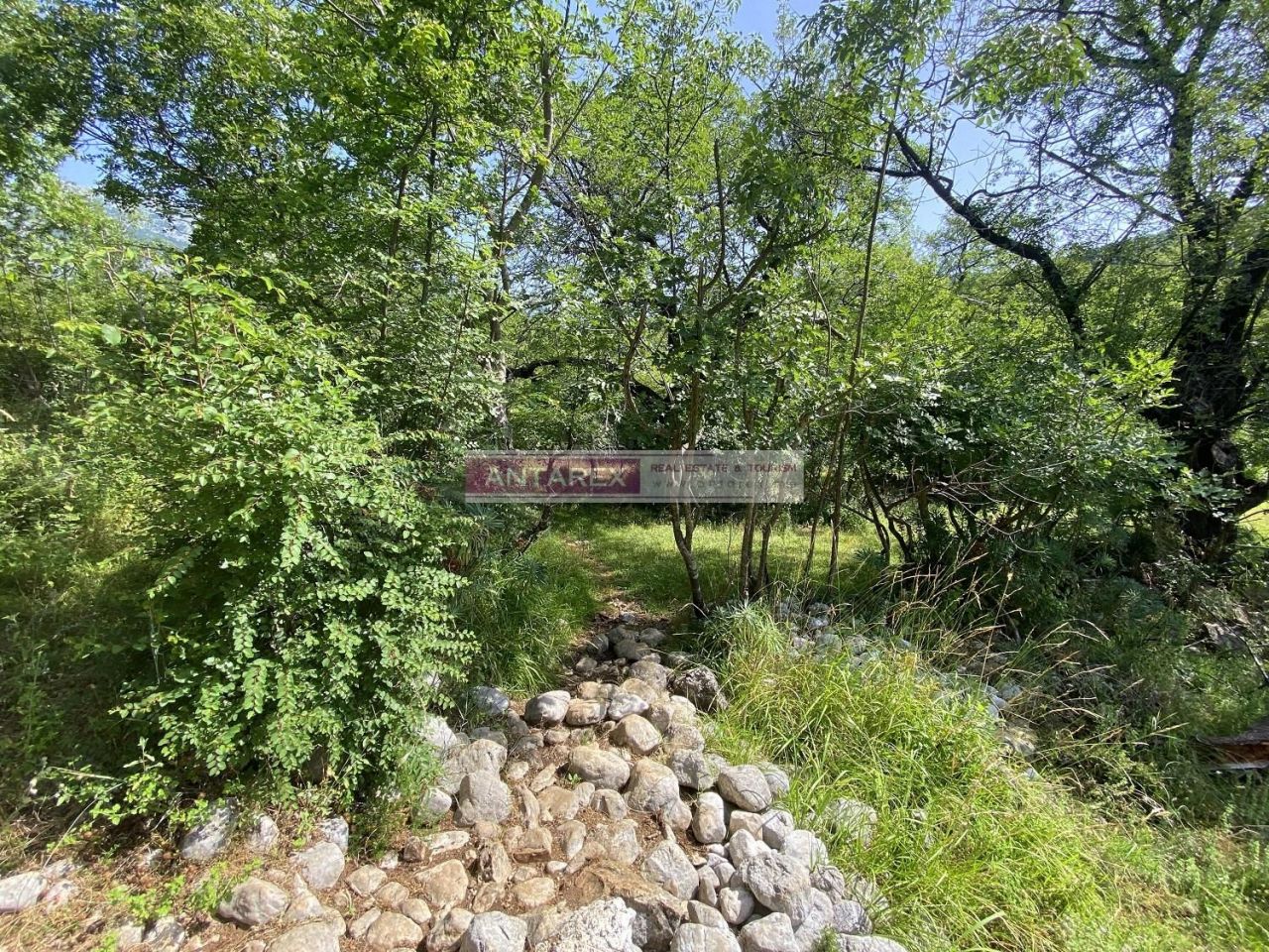 Земля в Херцег-Нови, Черногория, 3 835 м² - фото 3