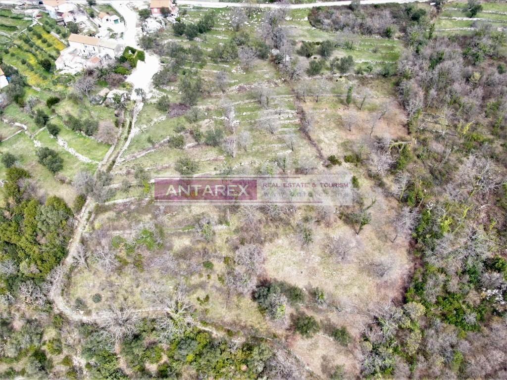 Земля в Херцег-Нови, Черногория, 687 м² - фото 4