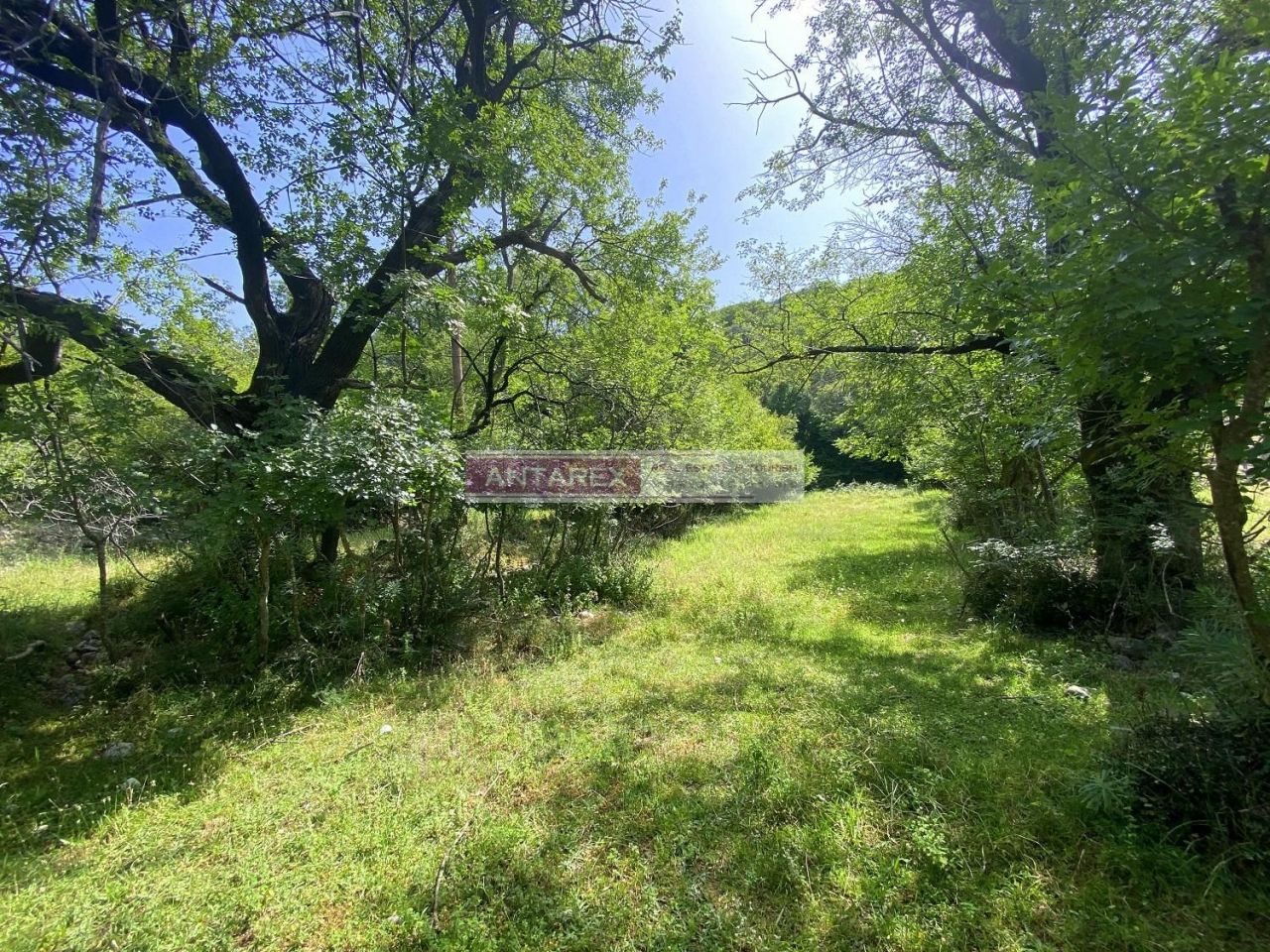 Земля в Херцег-Нови, Черногория, 3 835 м² - фото 4