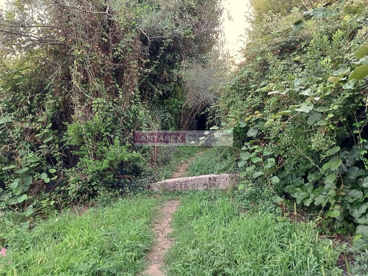 Земля в Биеле, Черногория, 987 м² - фото 4