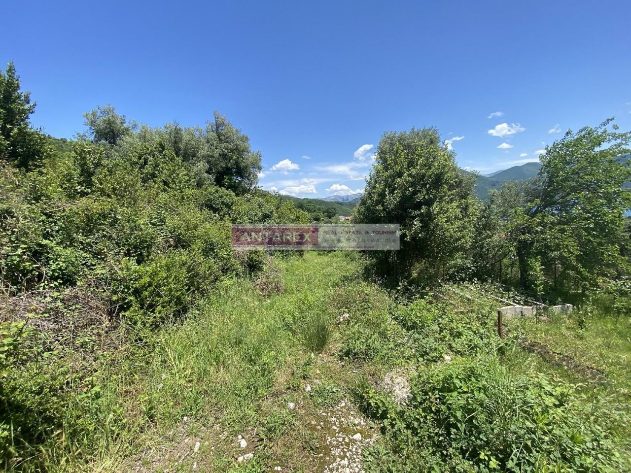 Земля в Биеле, Черногория, 5 127 м² - фото 5