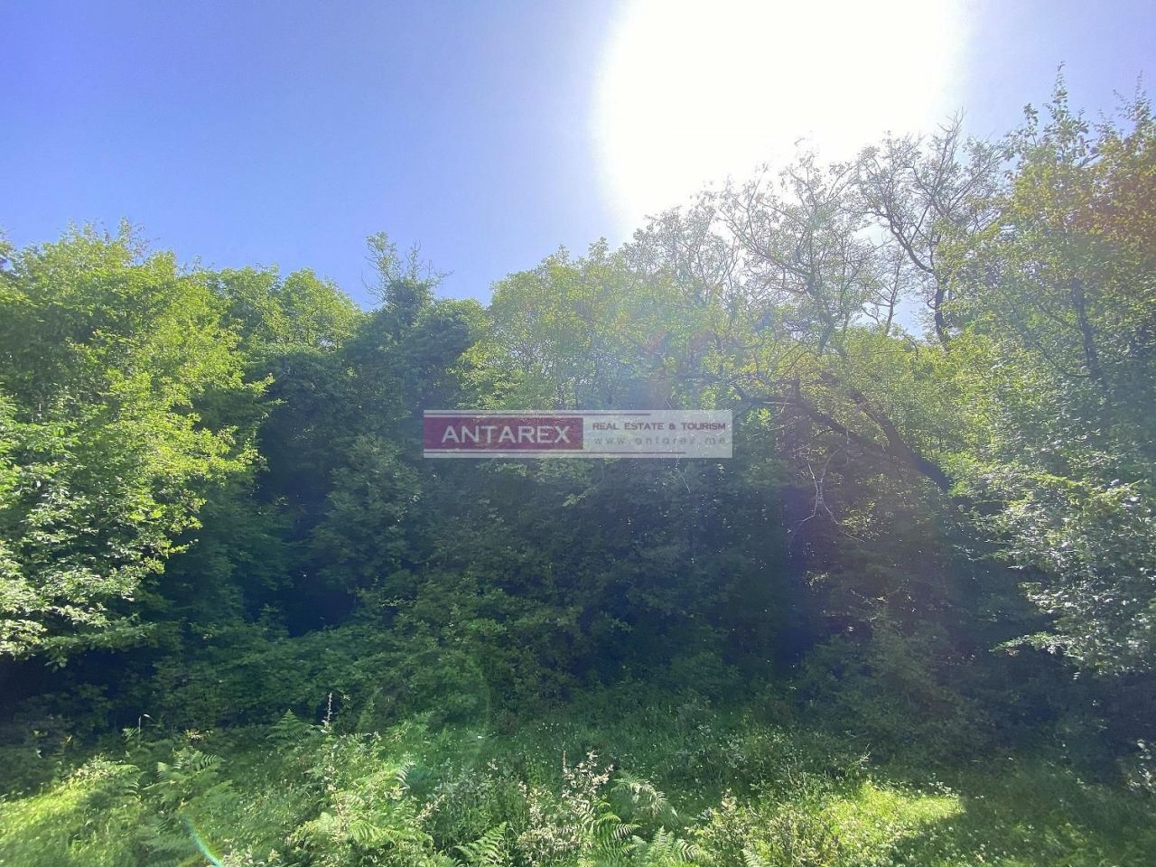 Земля в Херцег-Нови, Черногория, 3 835 м² - фото 5