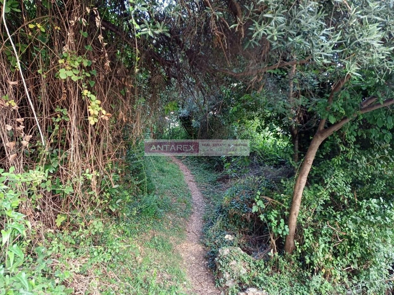 Земля в Биеле, Черногория, 987 м² - фото 5