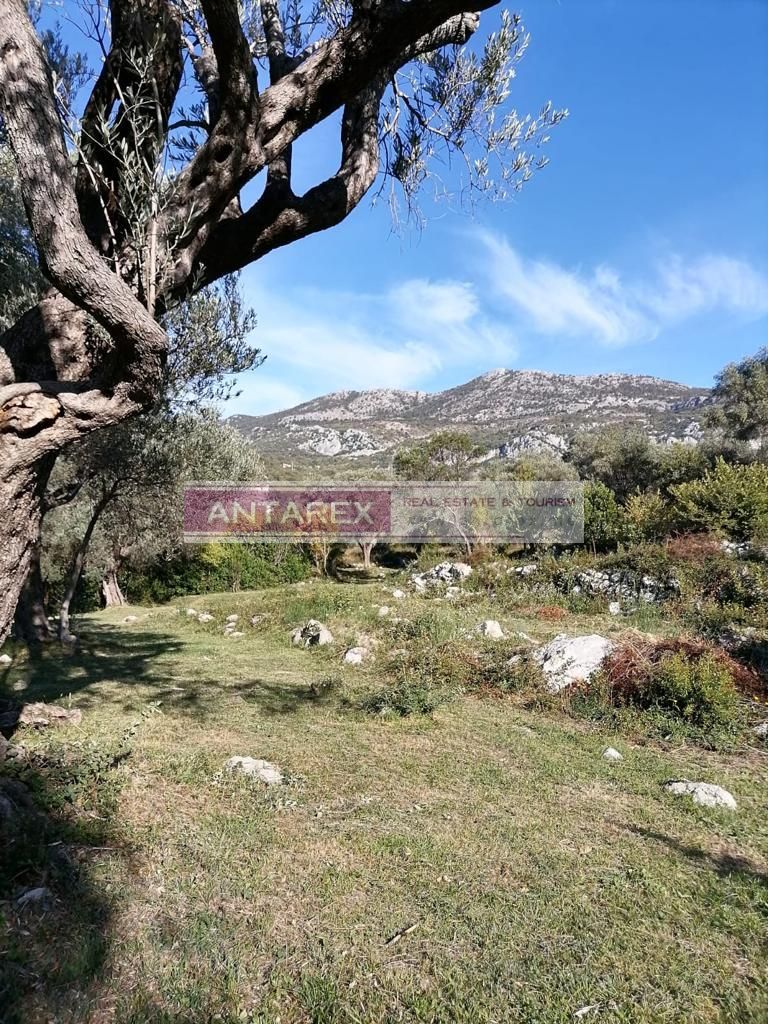 Земля в Булярице, Черногория, 1 696 м² - фото 6