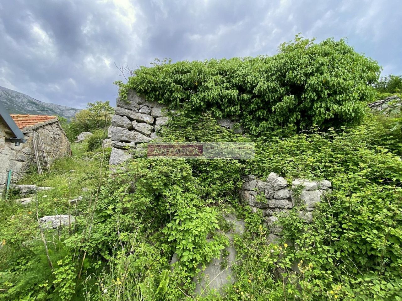 Вилла в Херцег-Нови, Черногория, 92 м² - фото 6