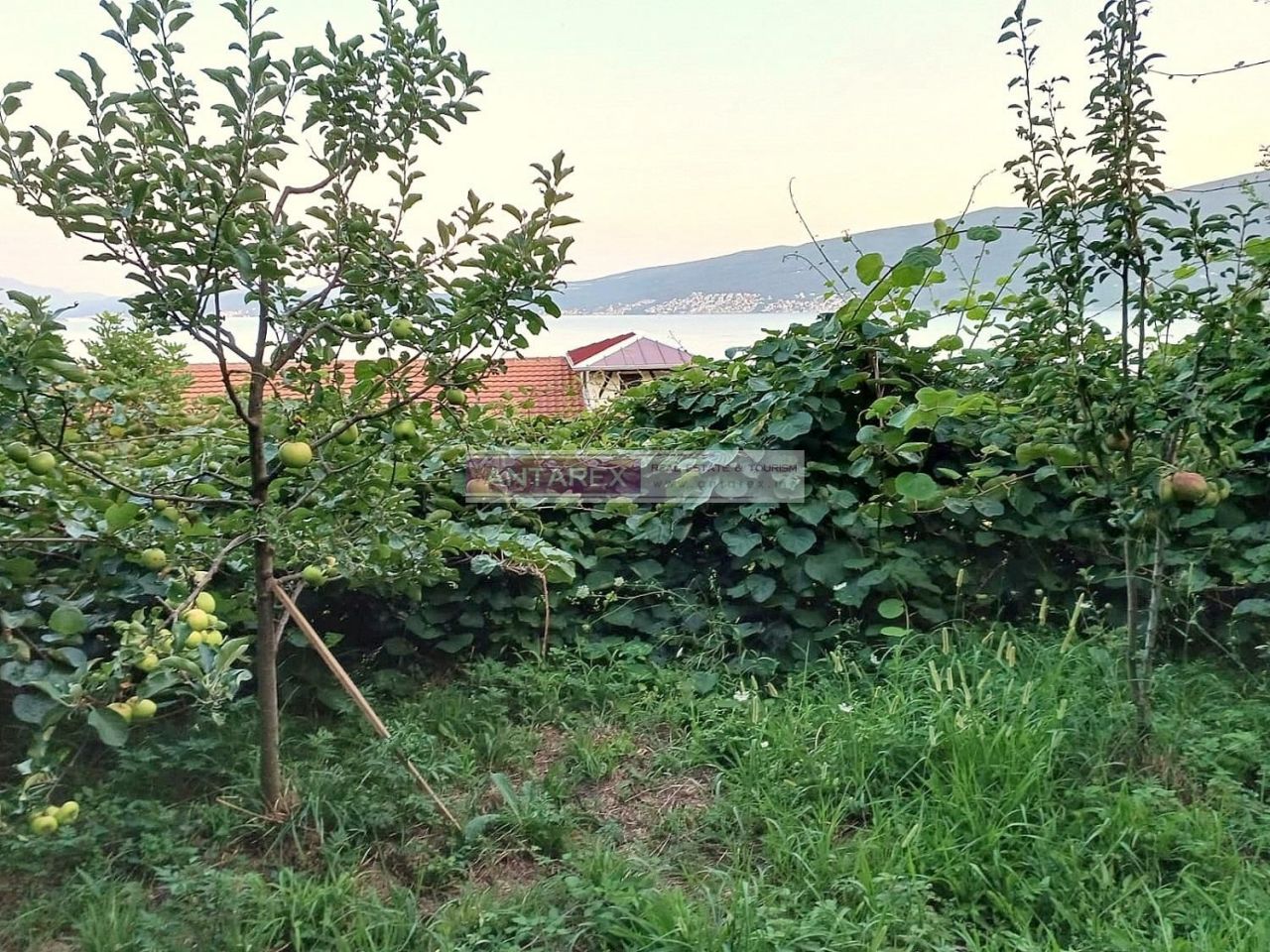 Земля в Биеле, Черногория, 987 м² - фото 6