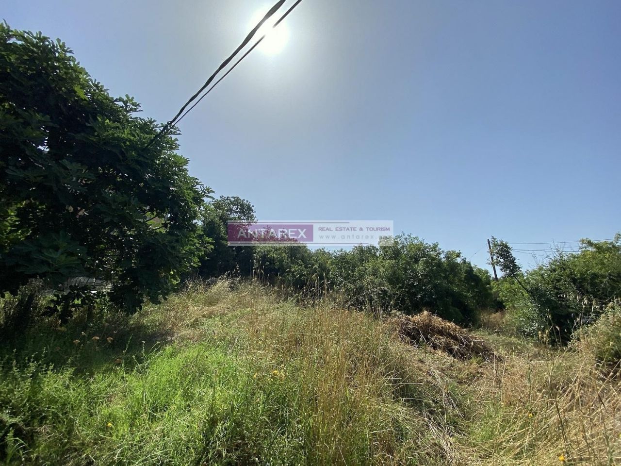 Земля в Херцег-Нови, Черногория, 3 606 м² - фото 7