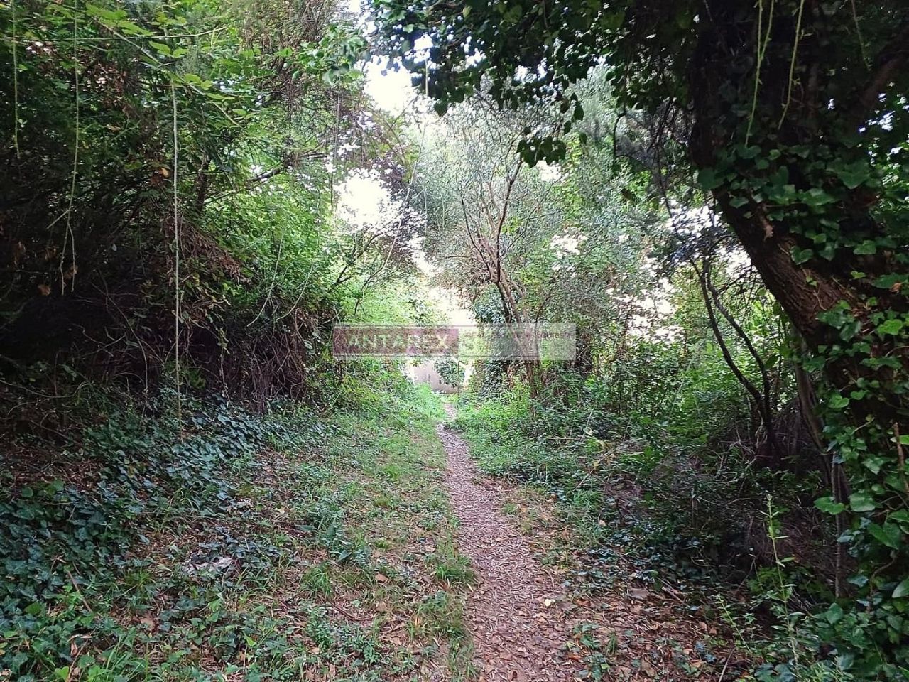 Земля в Биеле, Черногория, 987 м² - фото 7