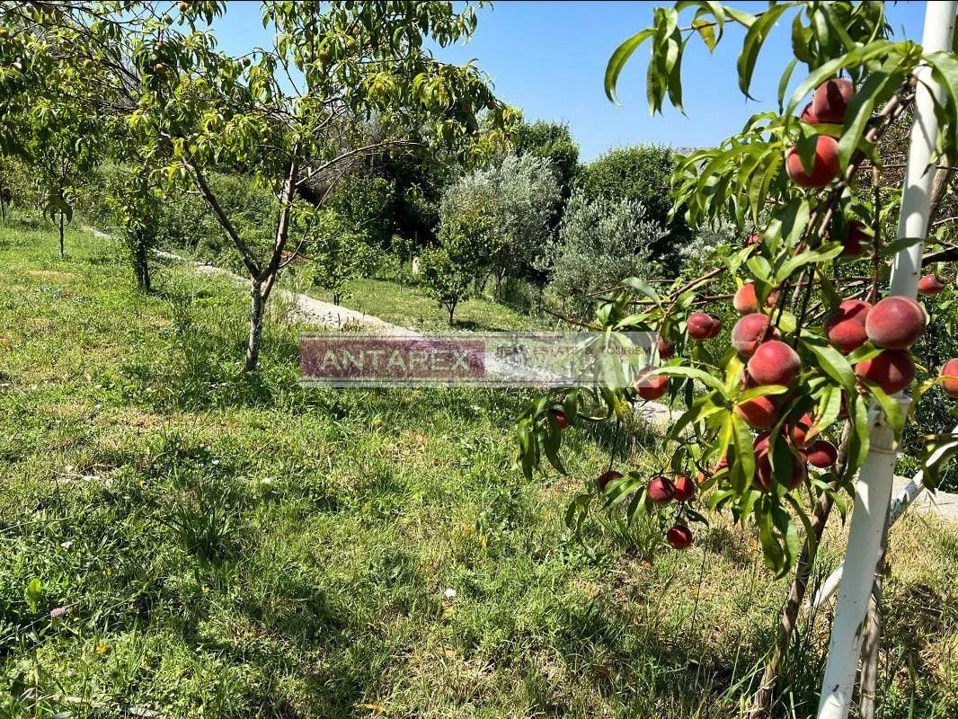 Вилла в Баре, Черногория, 208 м² - фото 10