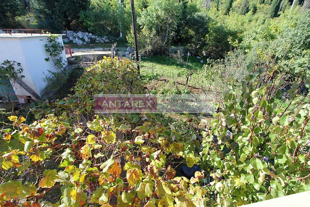 Вилла в Херцег-Нови, Черногория, 246 м² - фото 11