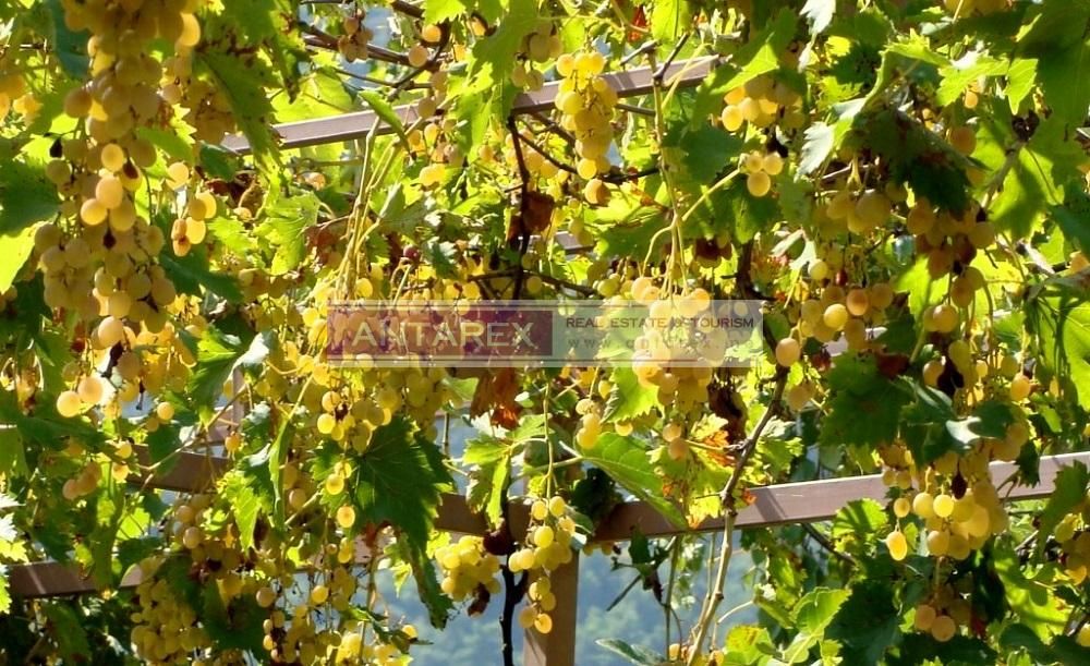 Вилла в Херцег-Нови, Черногория, 144 м² - фото 15