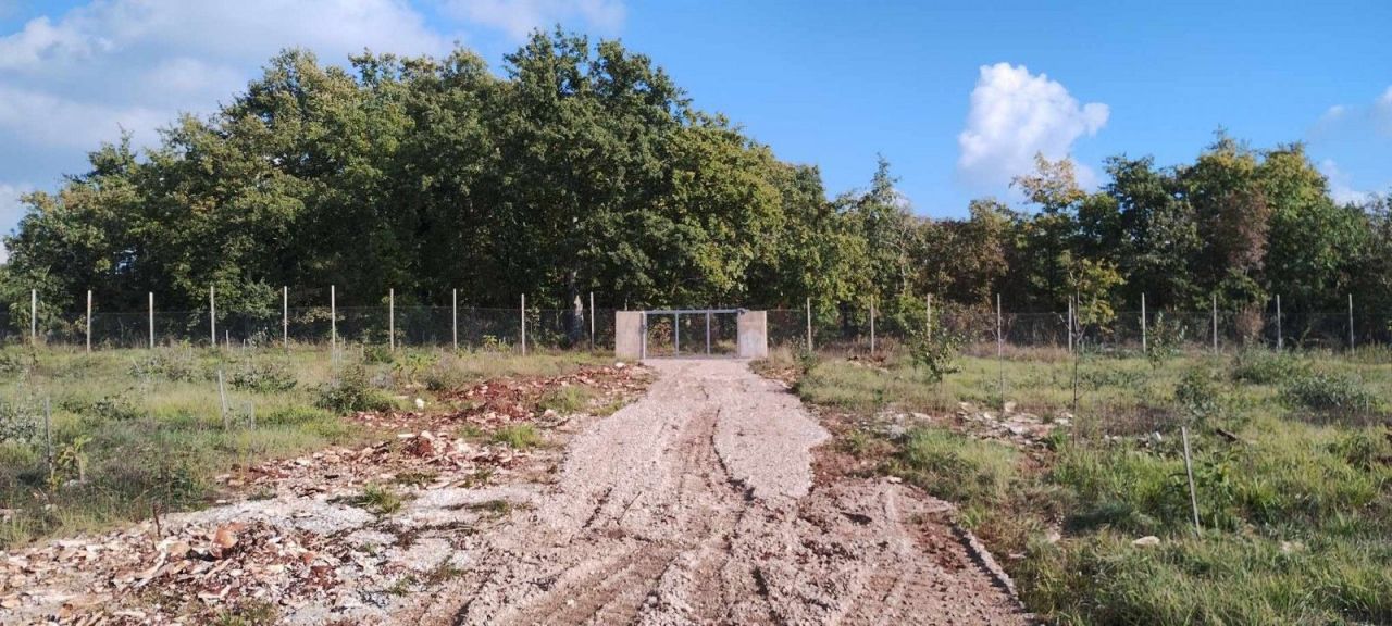 Земля в Светвинченате, Хорватия, 10 353 м² - фото 1