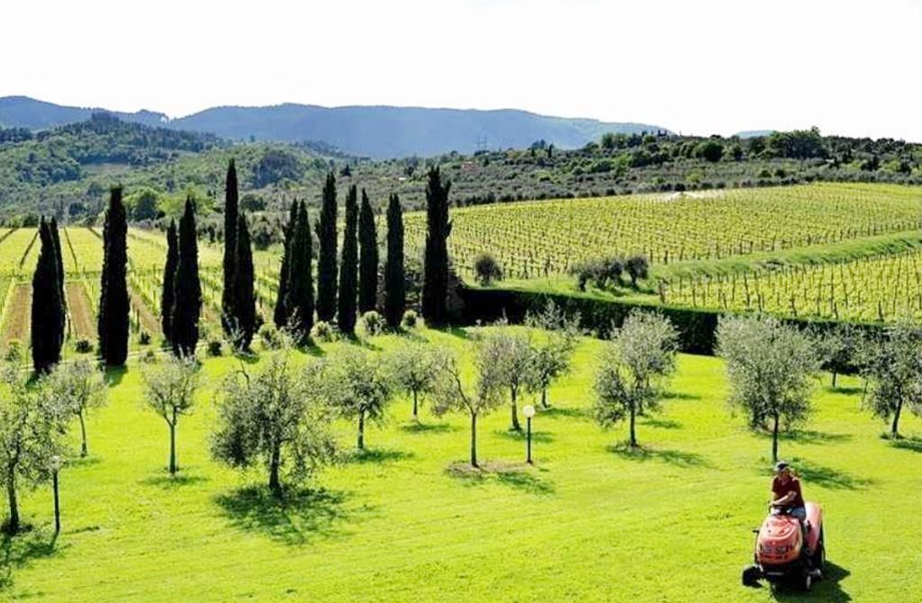 Доходный дом в Кьянти, Италия, 700 м² - фото 5