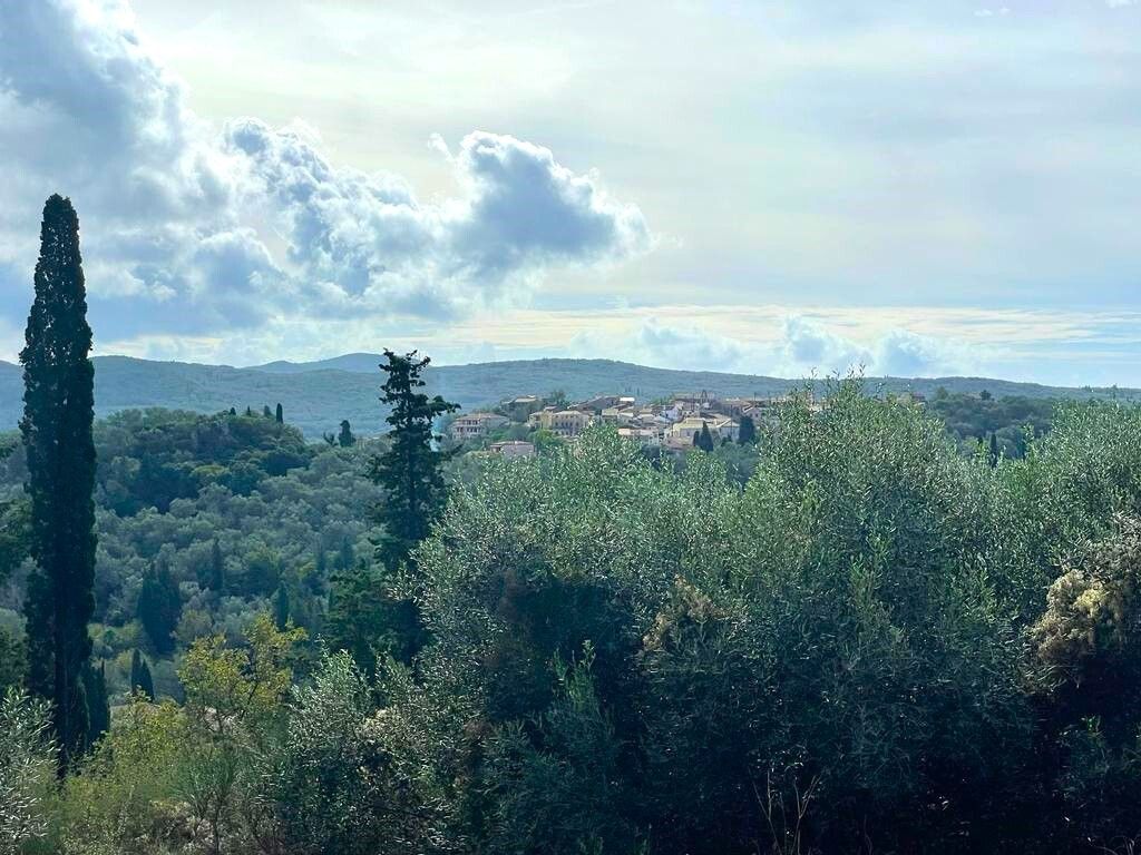 Земля на Корфу, Греция, 12 000 м² - фото 2