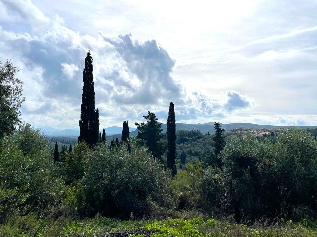 Земля на Корфу, Греция, 12 000 м² - фото 3