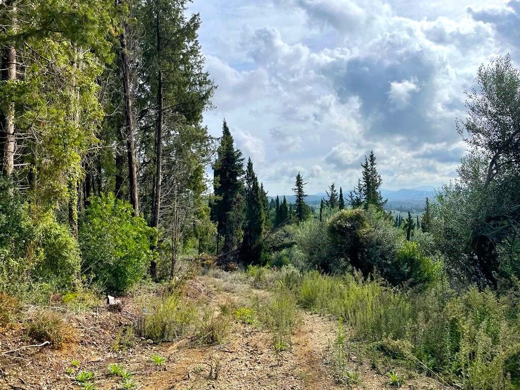 Земля на Корфу, Греция, 12 000 м² - фото 6