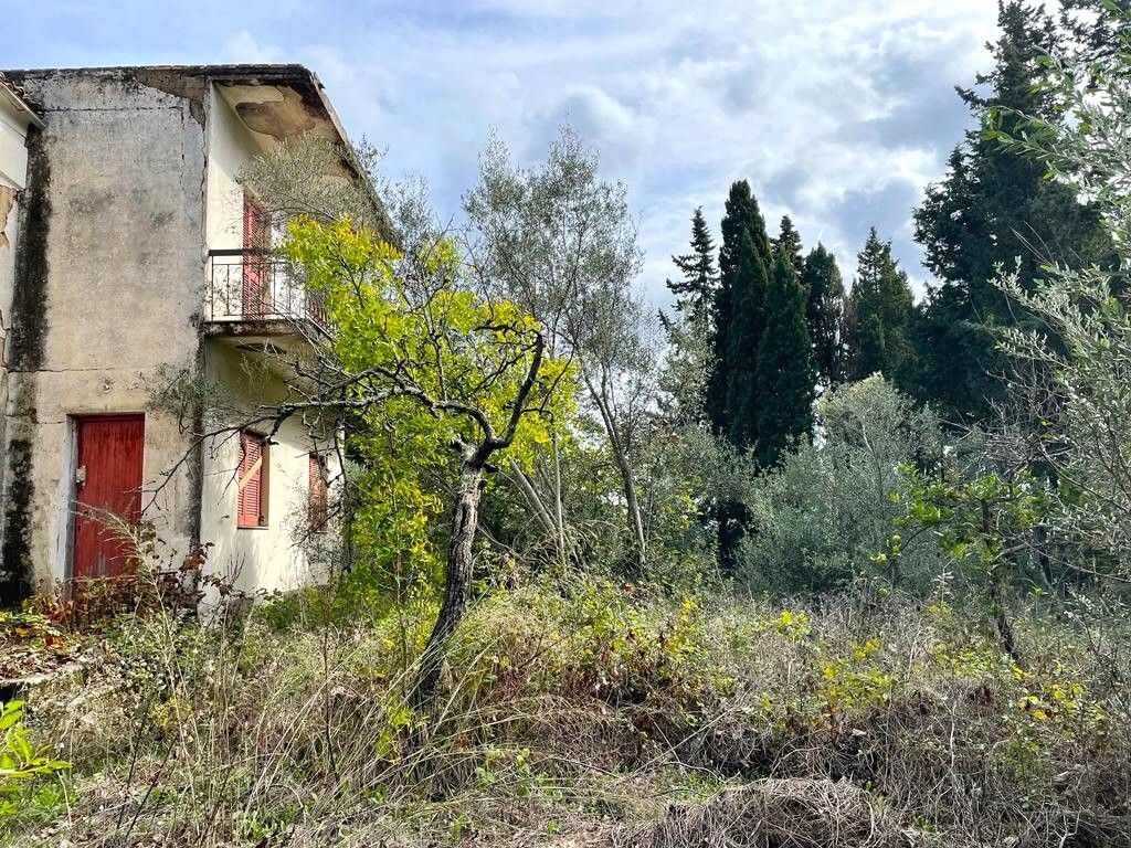 Земля на Корфу, Греция, 12 000 м² - фото 7