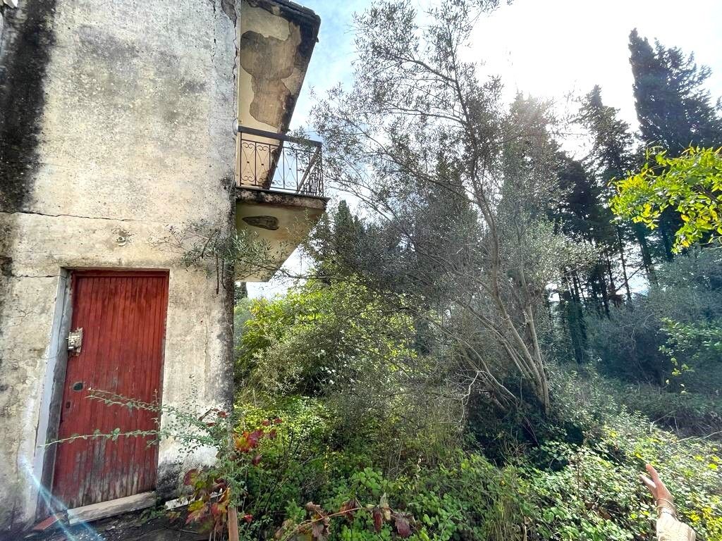 Земля на Корфу, Греция, 12 000 м² - фото 8