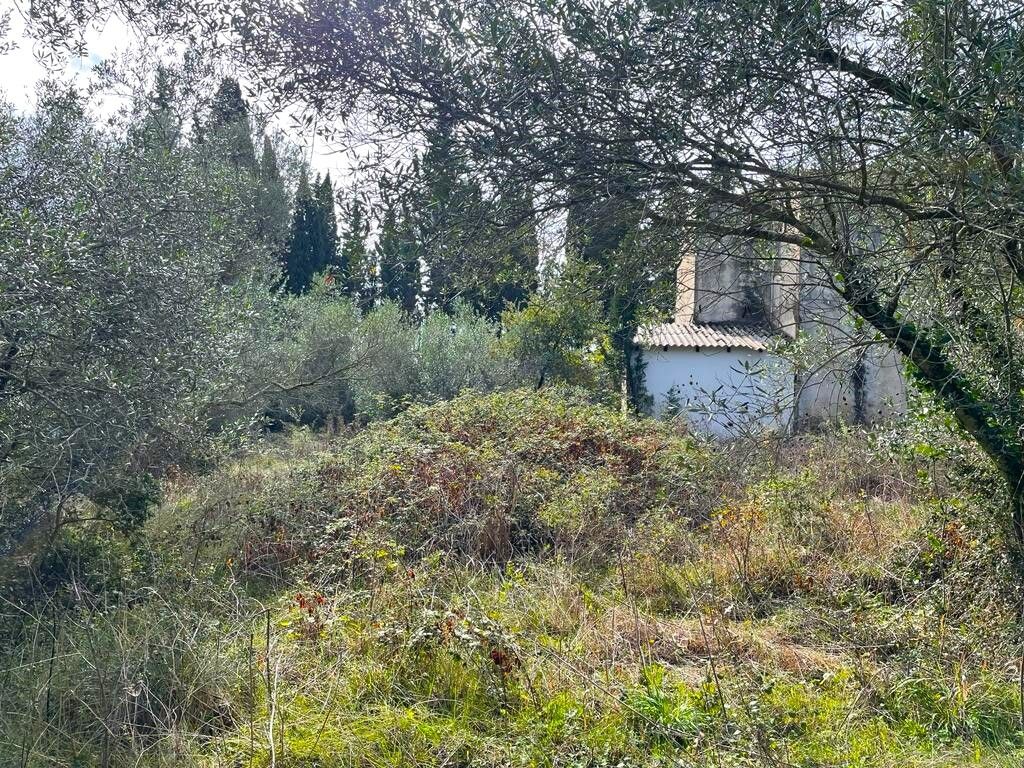 Земля на Корфу, Греция, 12 000 м² - фото 9