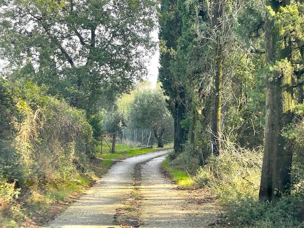 Земля на Корфу, Греция, 12 000 м² - фото 10