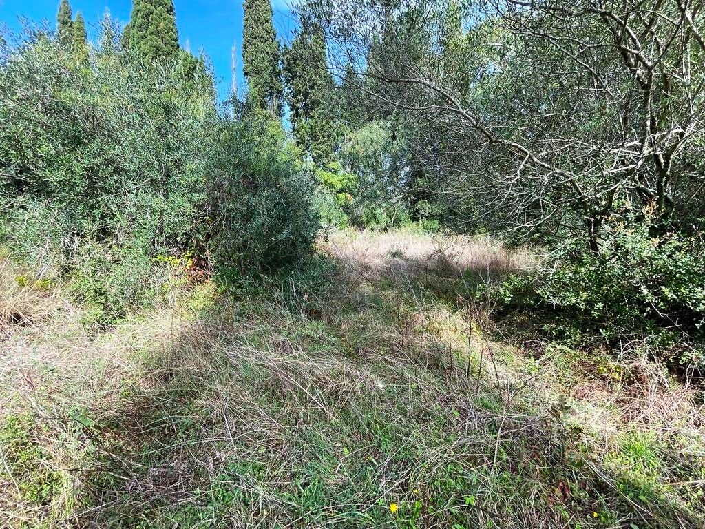 Земля на Корфу, Греция, 12 000 м² - фото 13