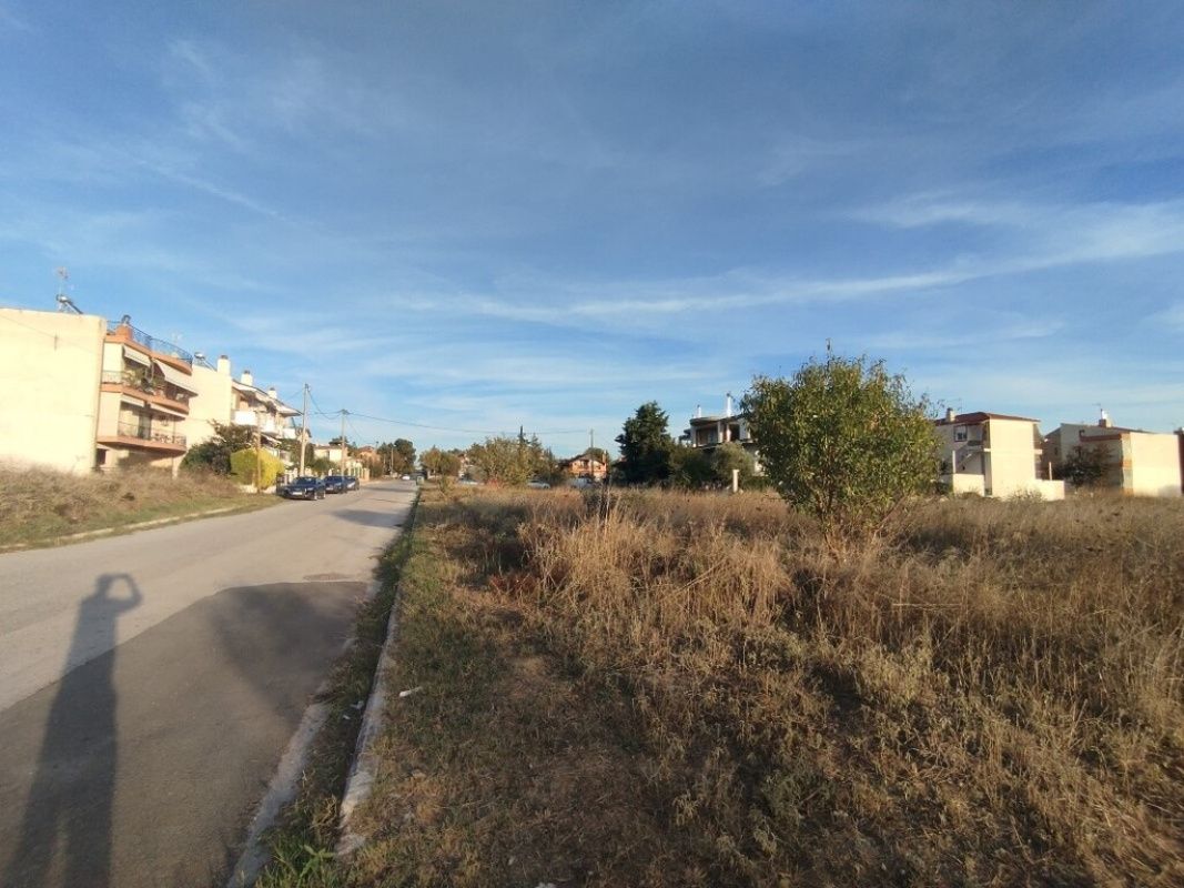 Земля на Северо-Эгейских островах, Греция, 3 000 сот. - фото 1