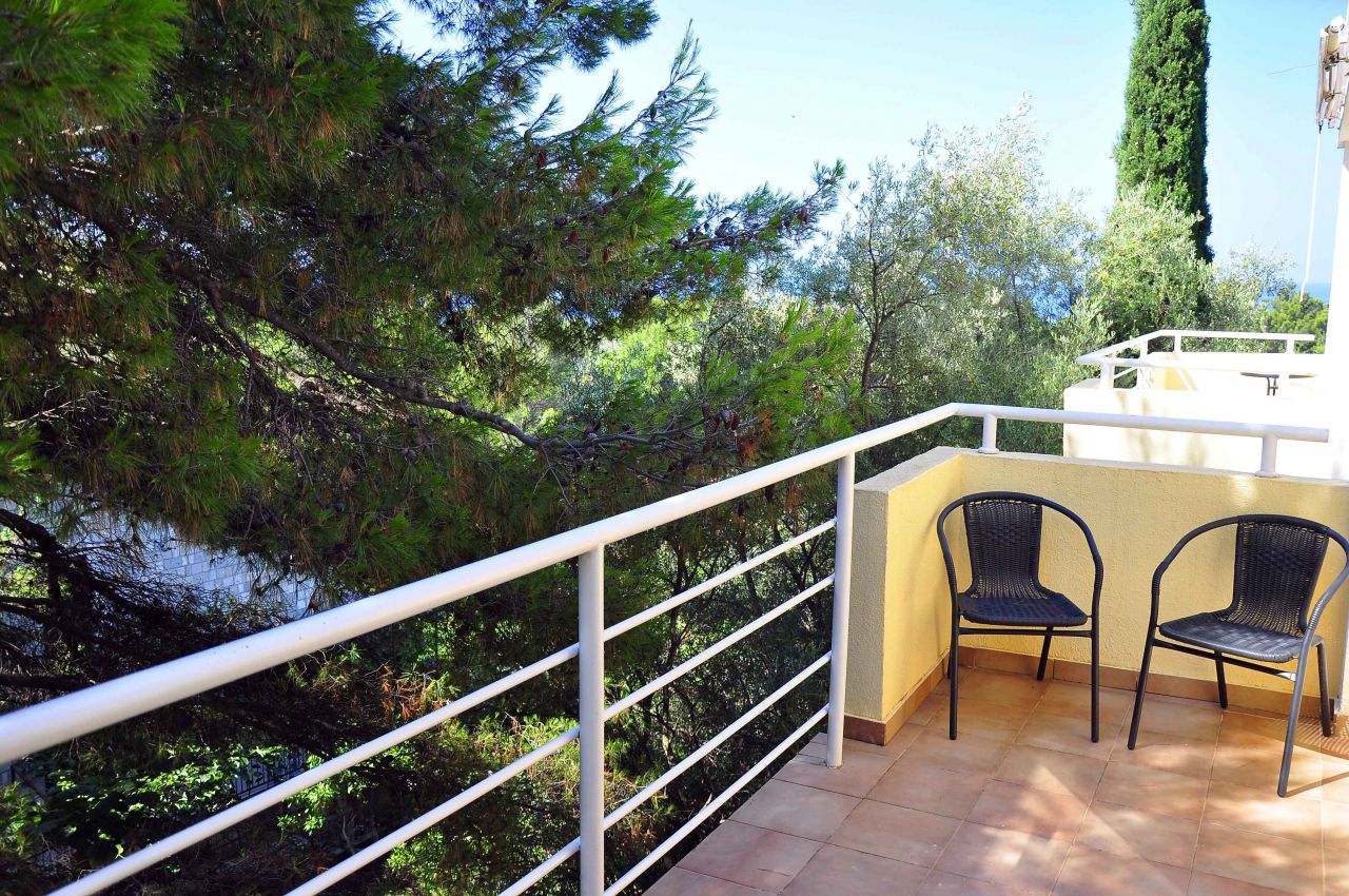 Отель, гостиница в Баре, Черногория, 400 м² - фото 4