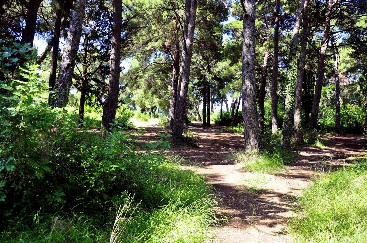 Отель, гостиница в Баре, Черногория, 400 м² - фото 12