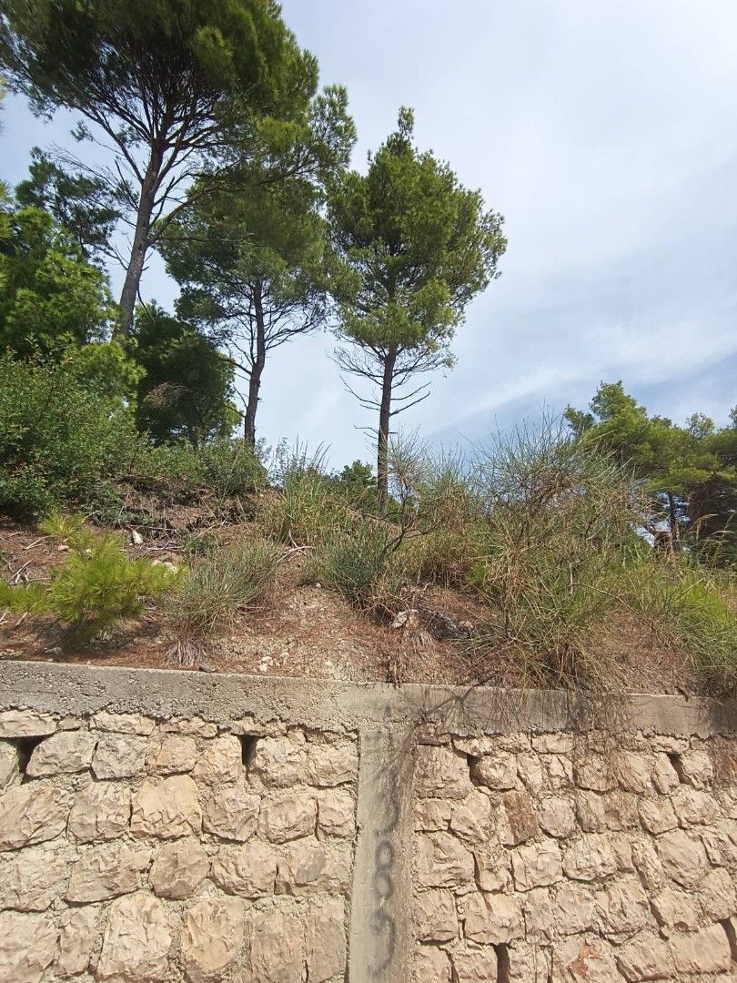 Земля в Баре, Черногория, 860 м² - фото 7