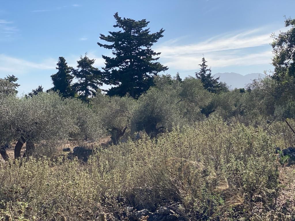 Земля в Ираклионе, Греция, 5 687 м² - фото 3