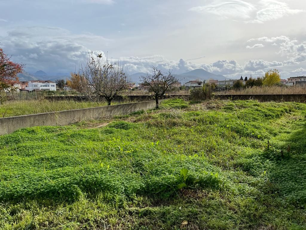 Вилла в Скалее, Италия, 187 м² - фото 11