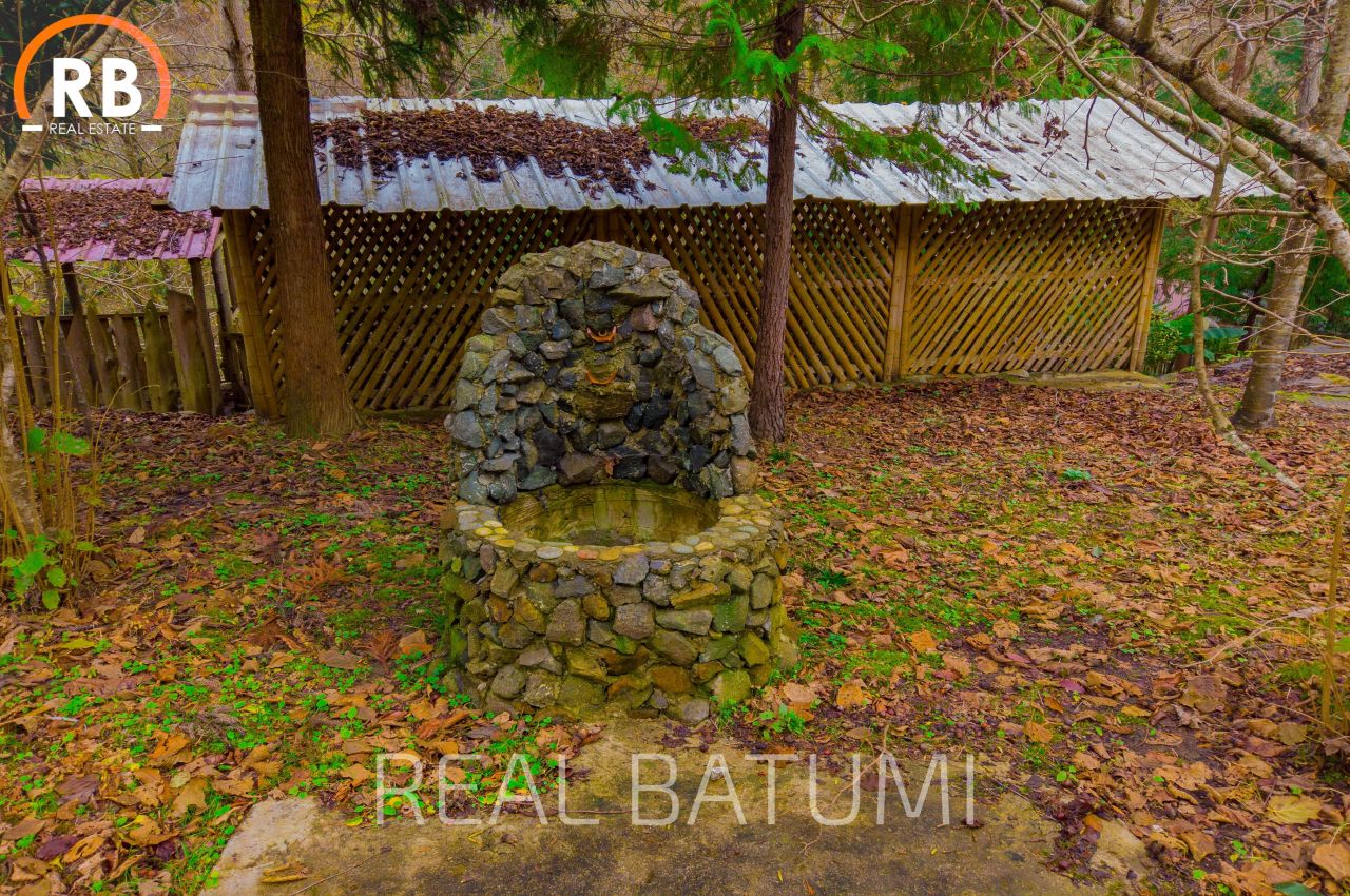 Дом в Батуми, Грузия, 120 м² - фото 9