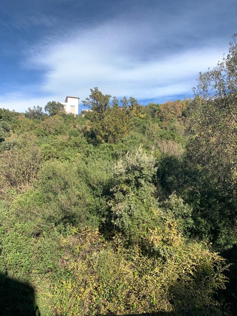 Земля в Утехе, Черногория, 1 594 м² - фото 4