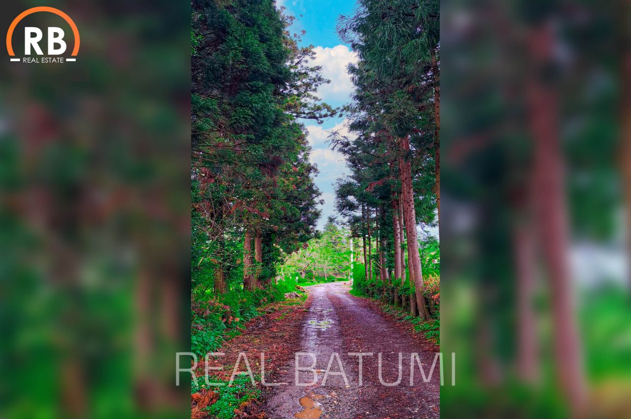 Дом в Батуми, Грузия, 220 м² - фото 6