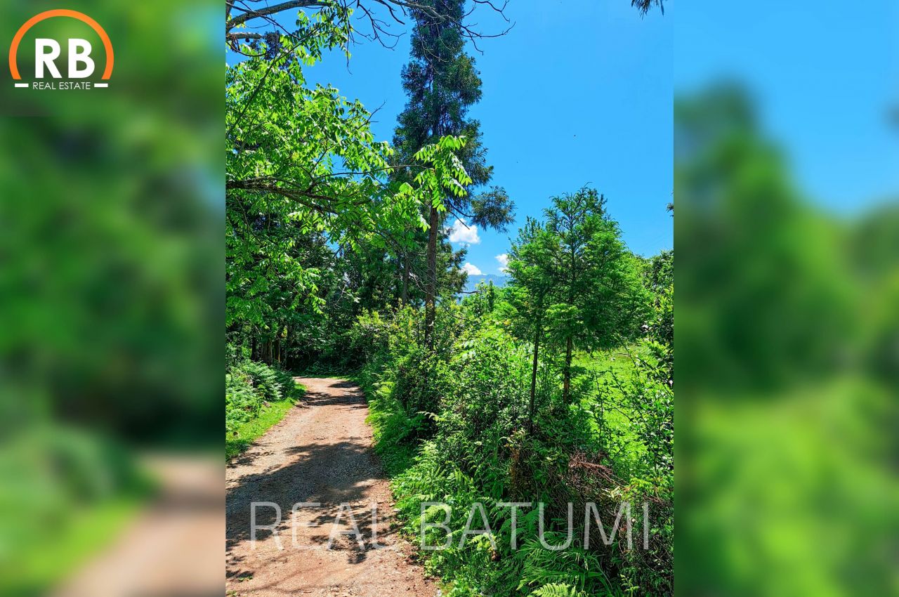 Дом в Батуми, Грузия, 220 м² - фото 7