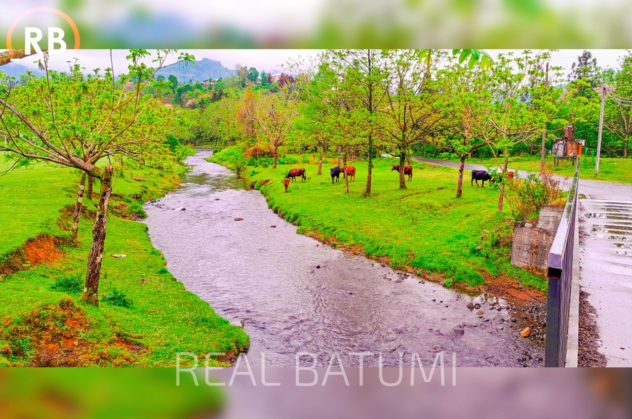 Дом в Батуми, Грузия, 220 м² - фото 9