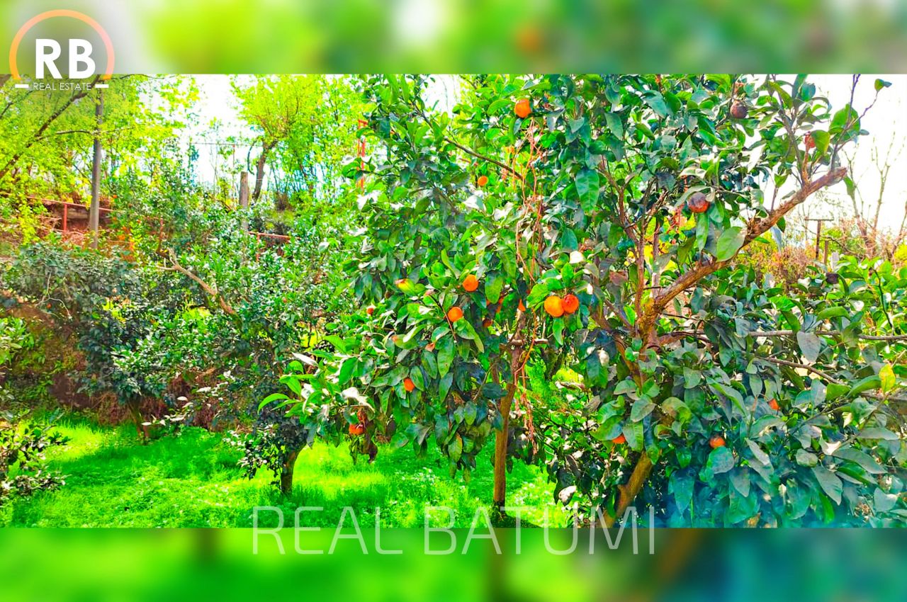 Дом в Батуми, Грузия, 220 м² - фото 8